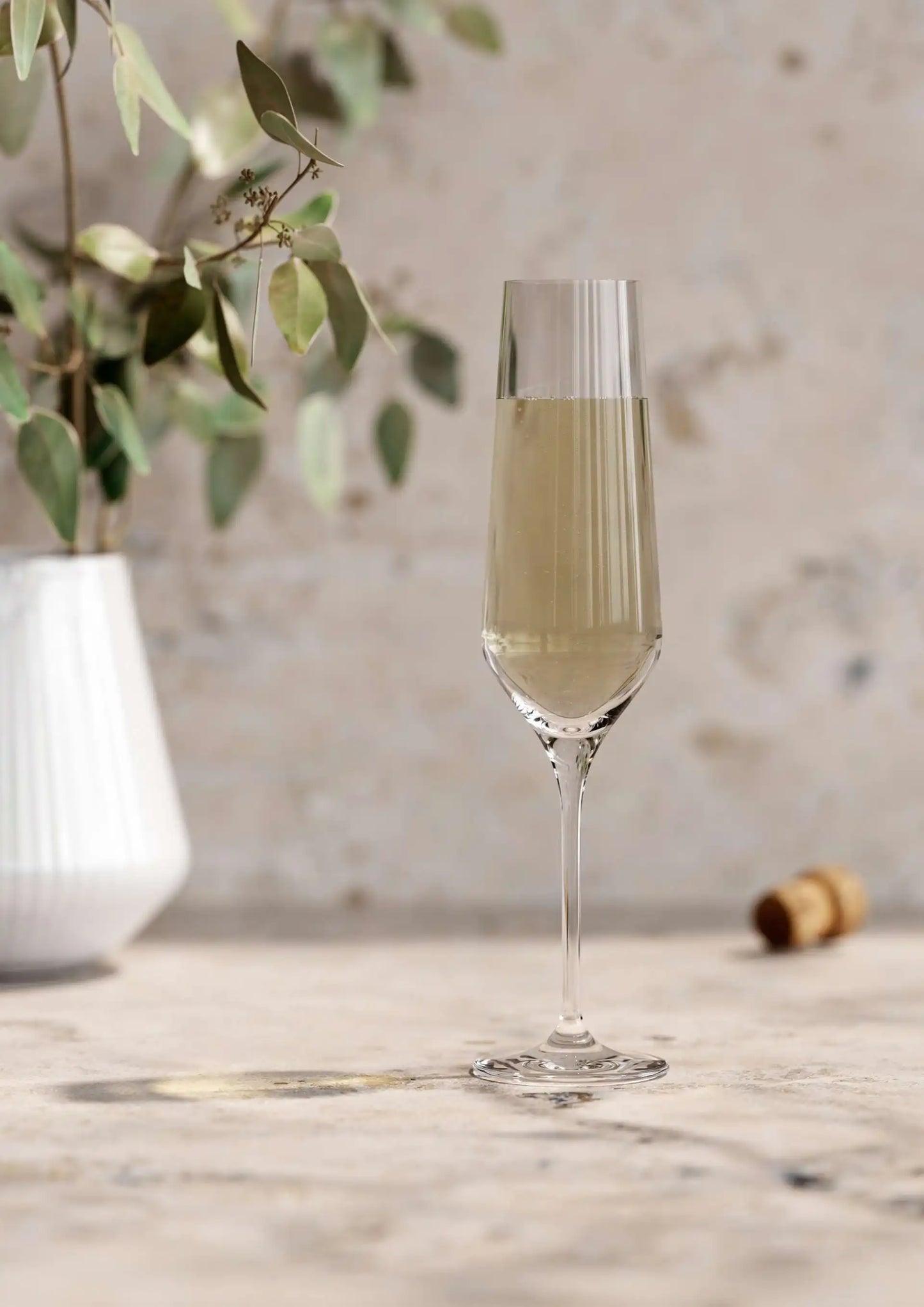 Legio Nova champagne glass 6 pcs.