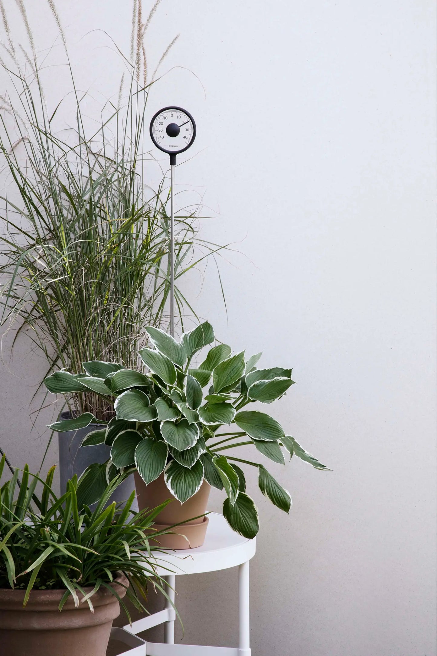 Thermometer Standing