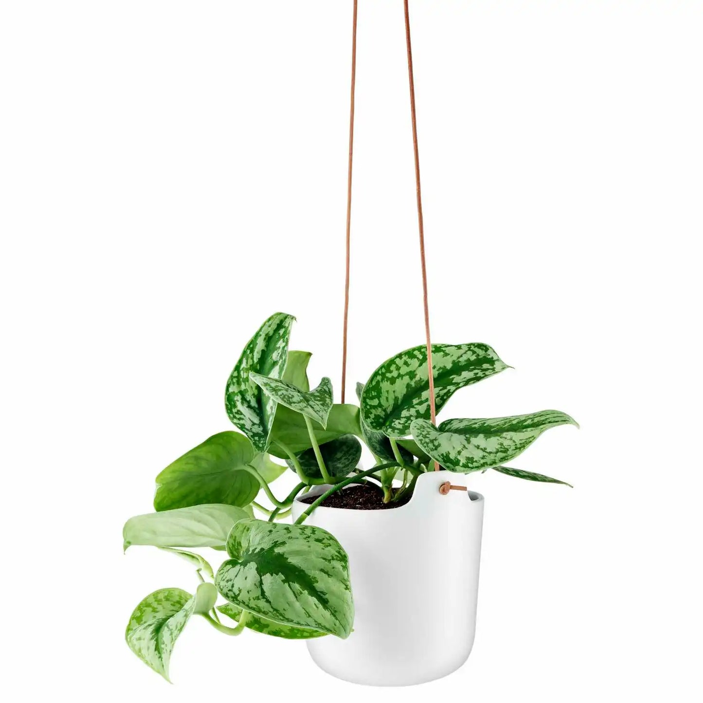 Selfwatering pots hanging Clay white
