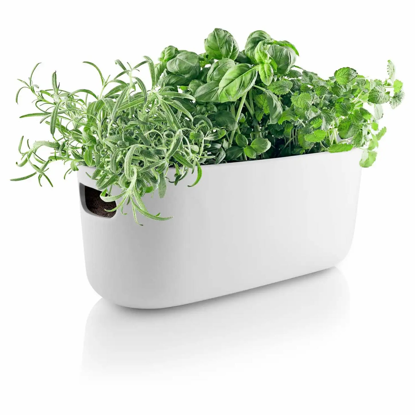 Self-watering herb organiser white