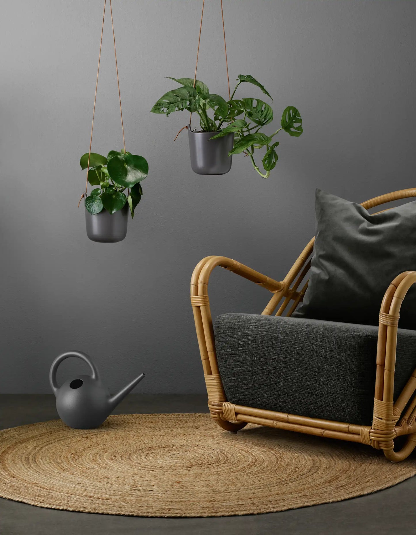 Globe watering can 2.5l Dark grey