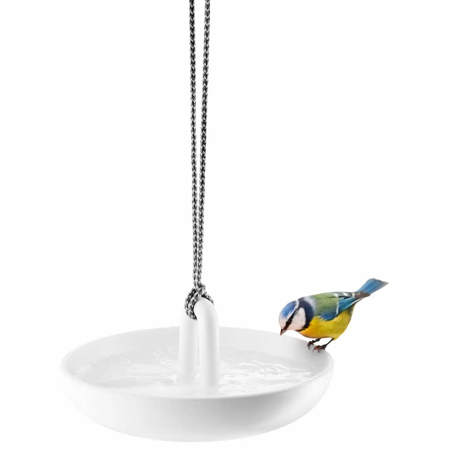 Hanging bird bath