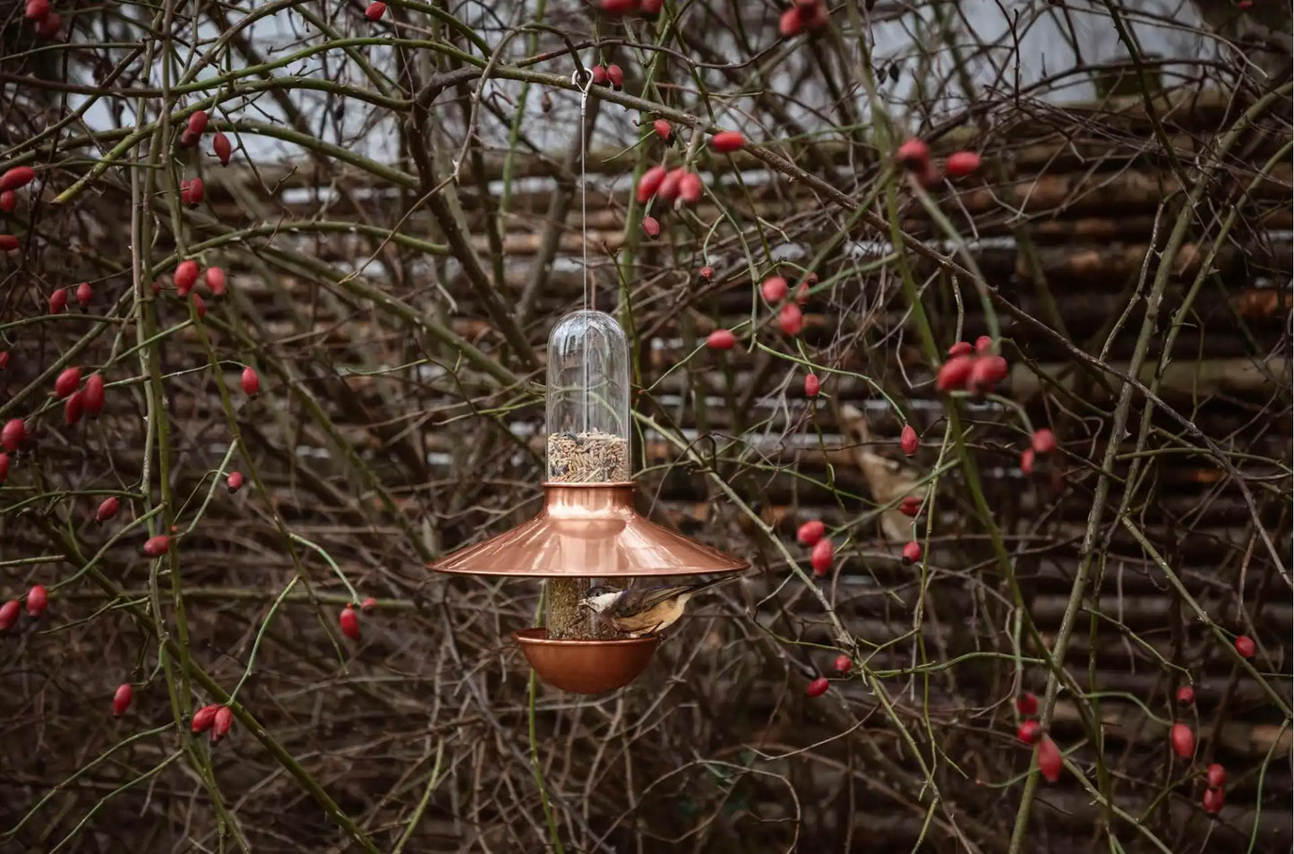 De luxe birdfeeder copper