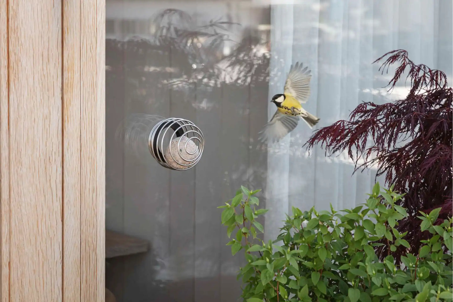 Window suet bird feeder