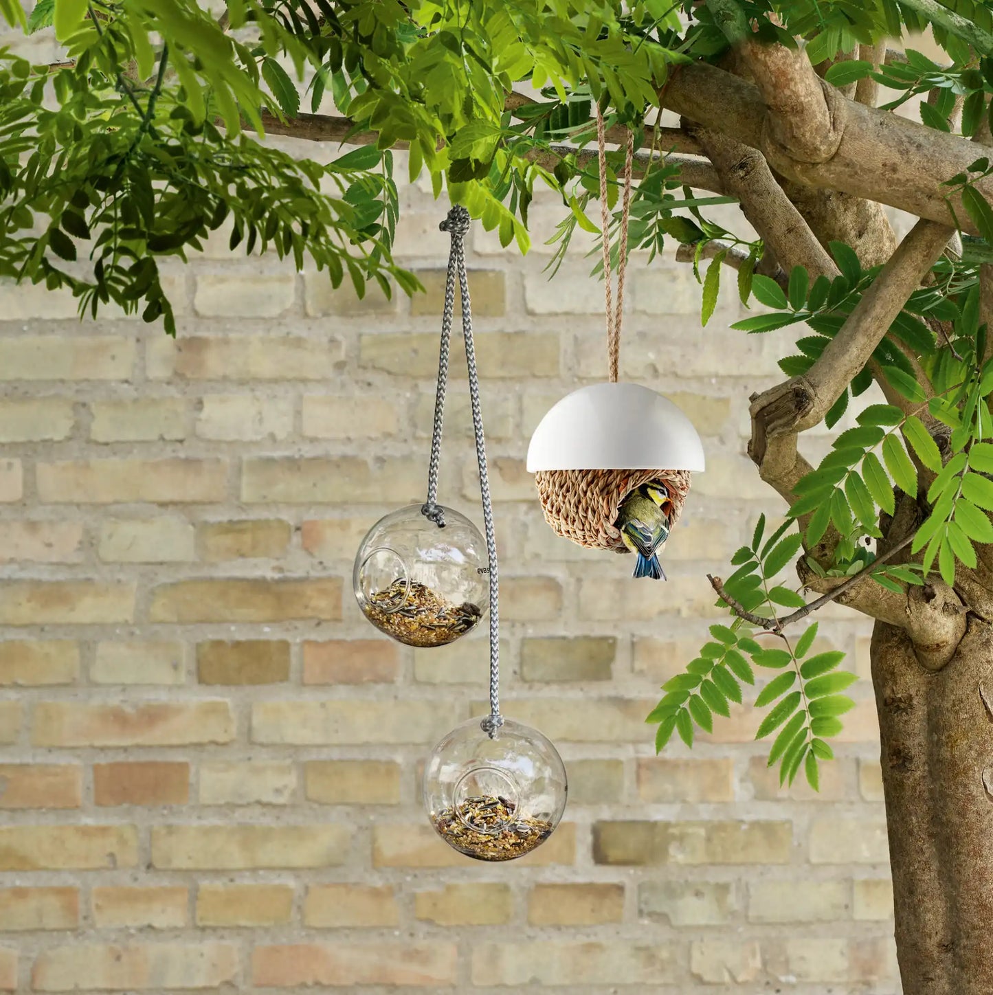 Bird shelter
