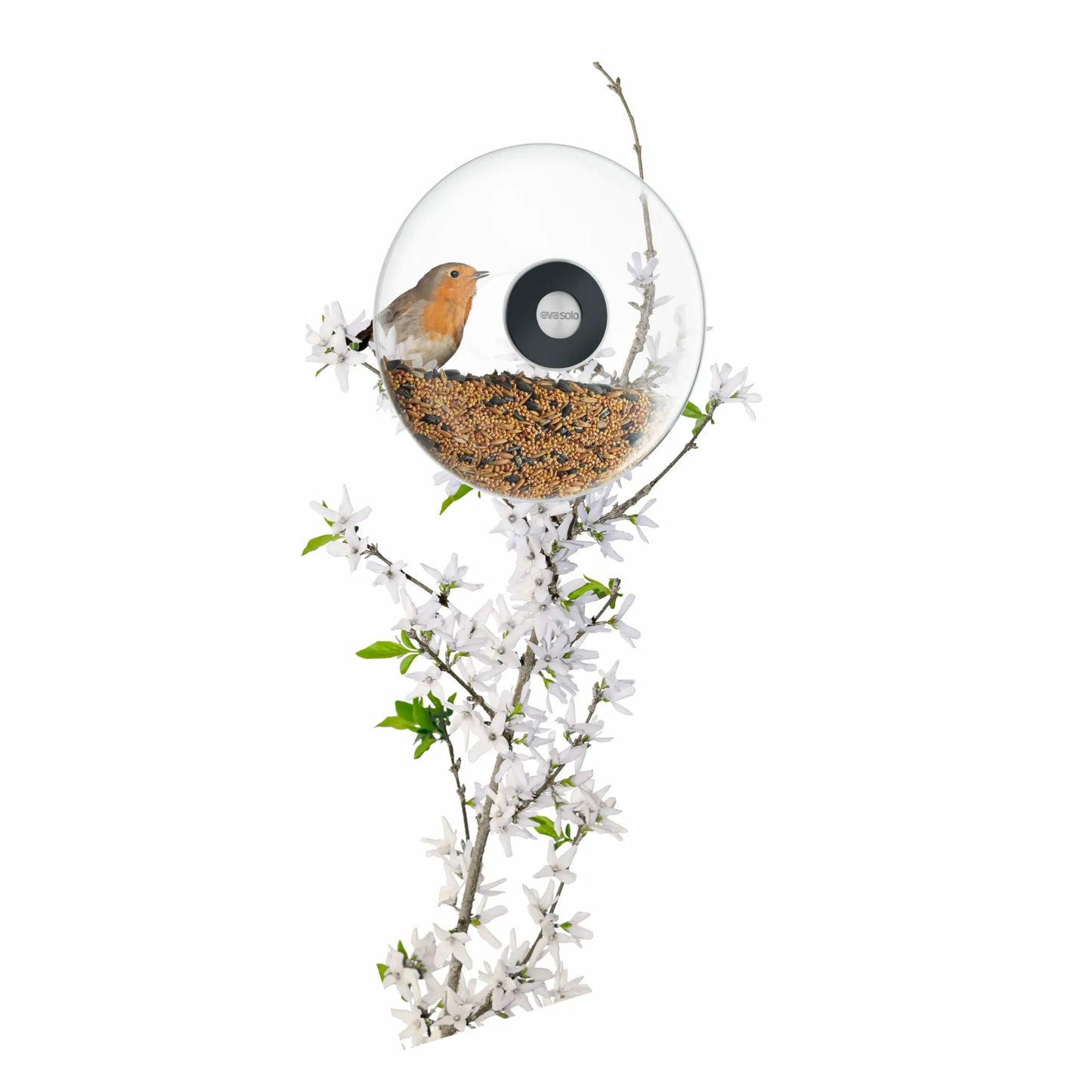 Window Bird Feeder - Large