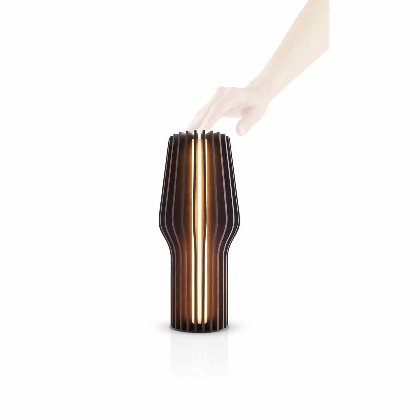 Radiant Led Batt Lamp