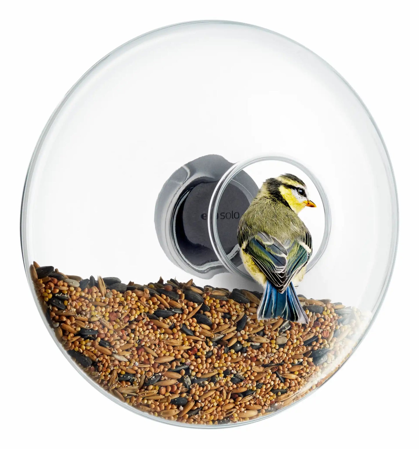 Window Bird Feeder - Large