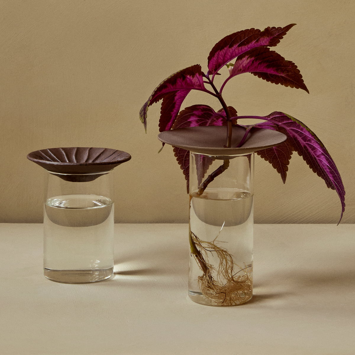 Cresco Propagation Vases