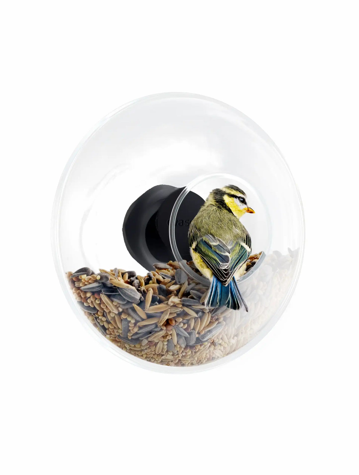 Window Bird Feeder - Small