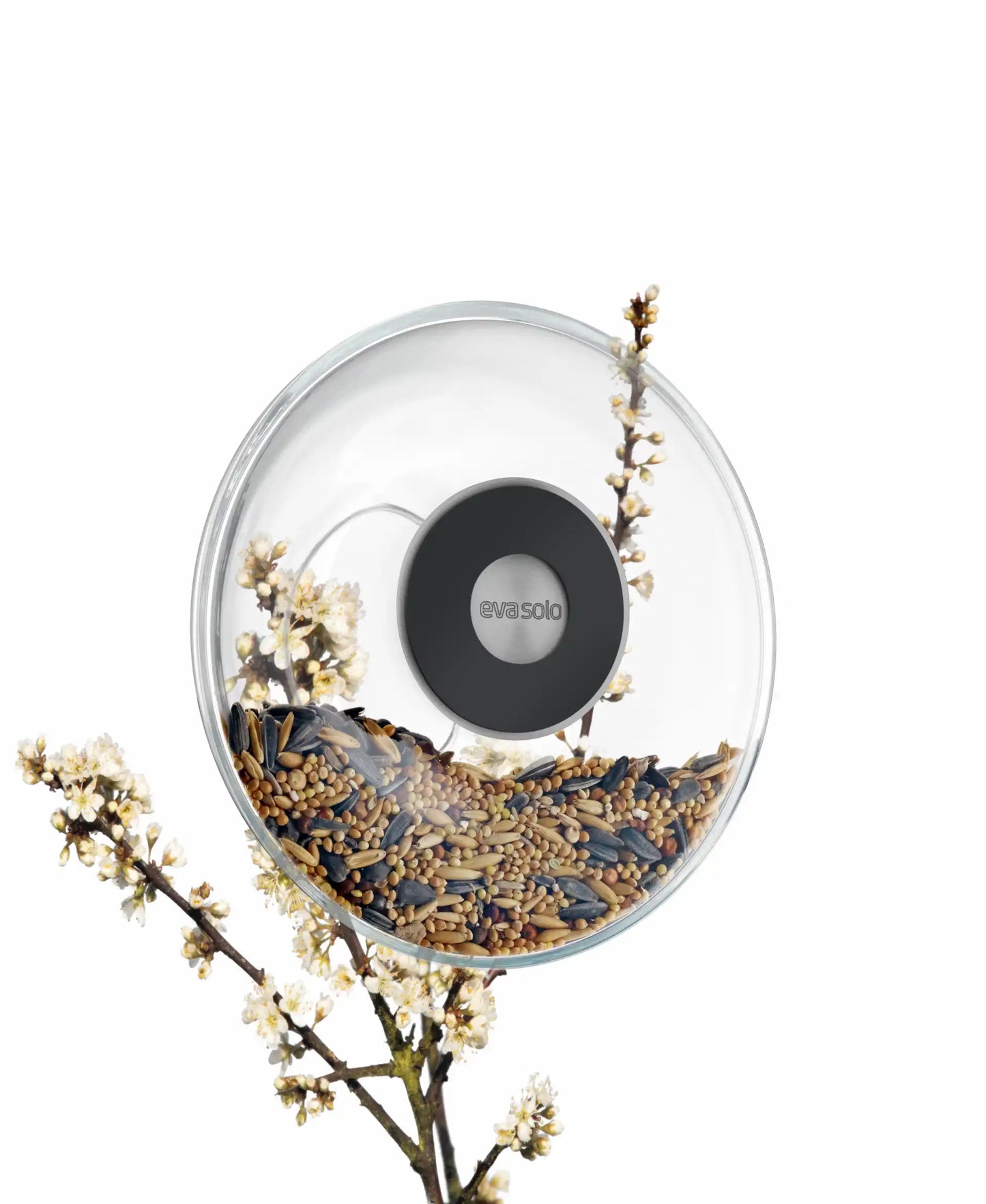 Window Bird Feeder - Small