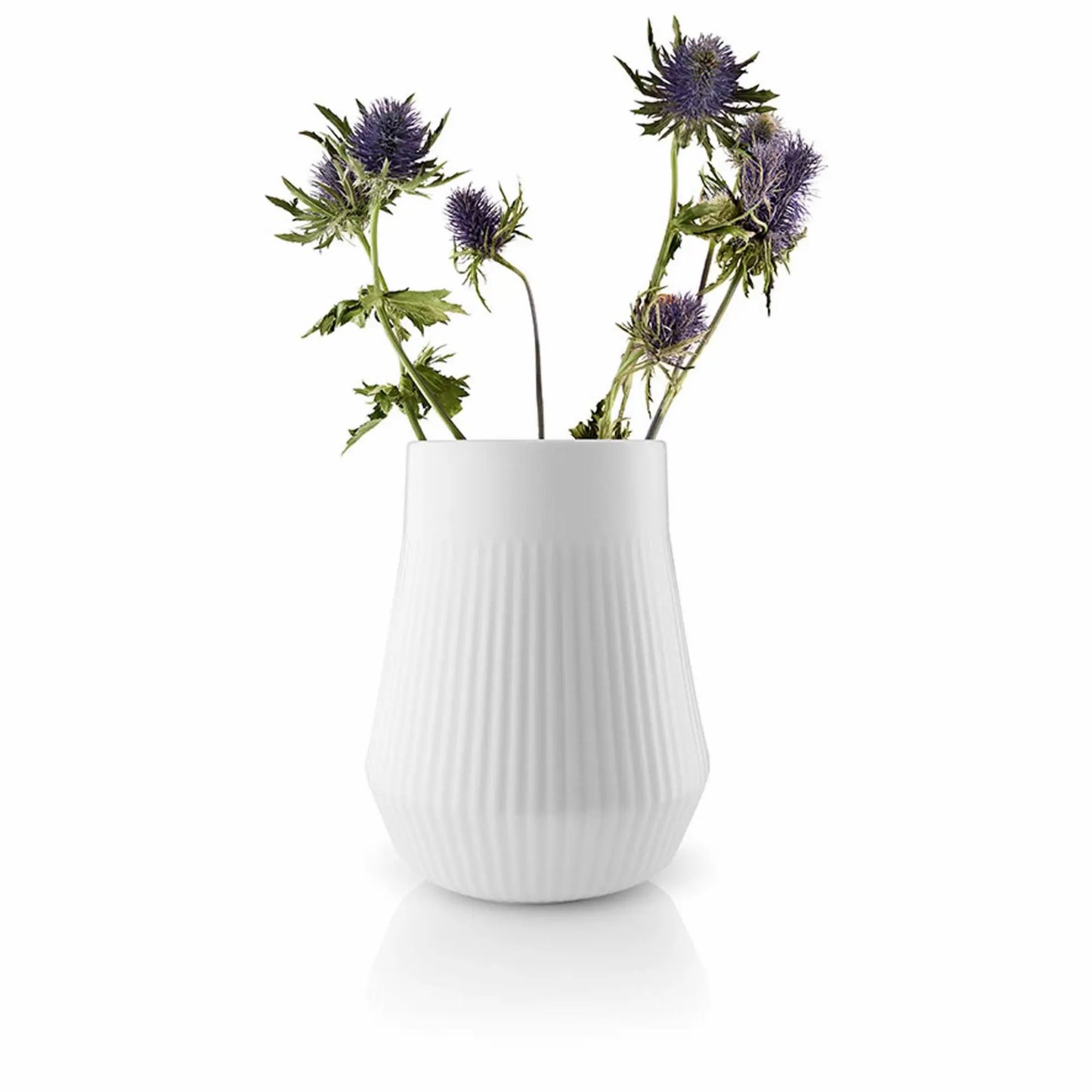 Vase Legio Nova