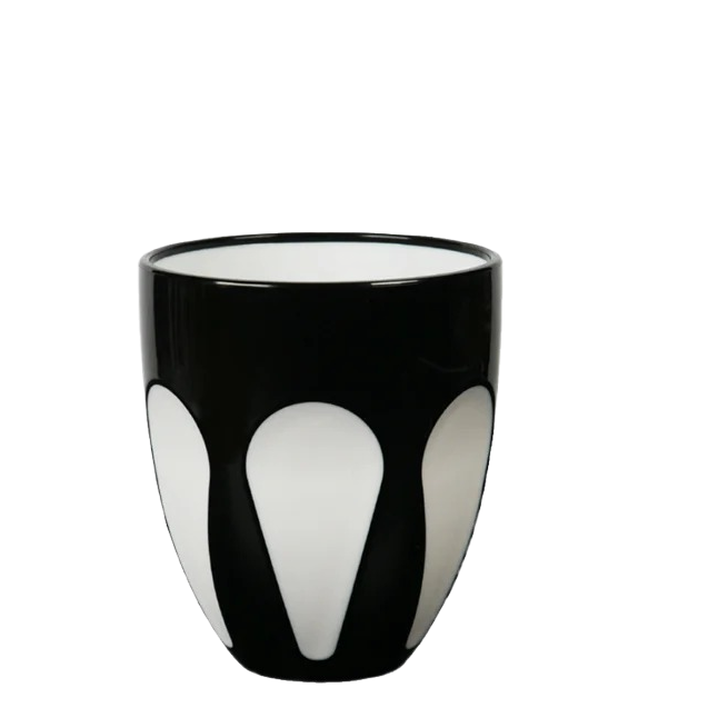 Aqua Bi-Color Acrylic Water Glass
