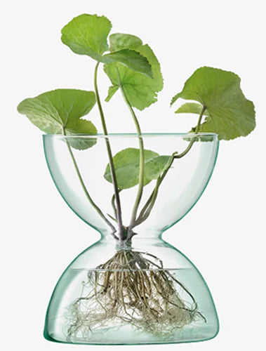 Canopy Vase H24cm Clear