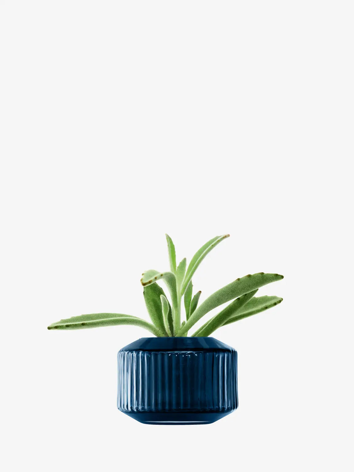 Rotunda Tealight Holder/Vase