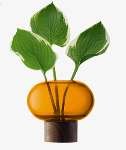 Oblate Vase - Amber