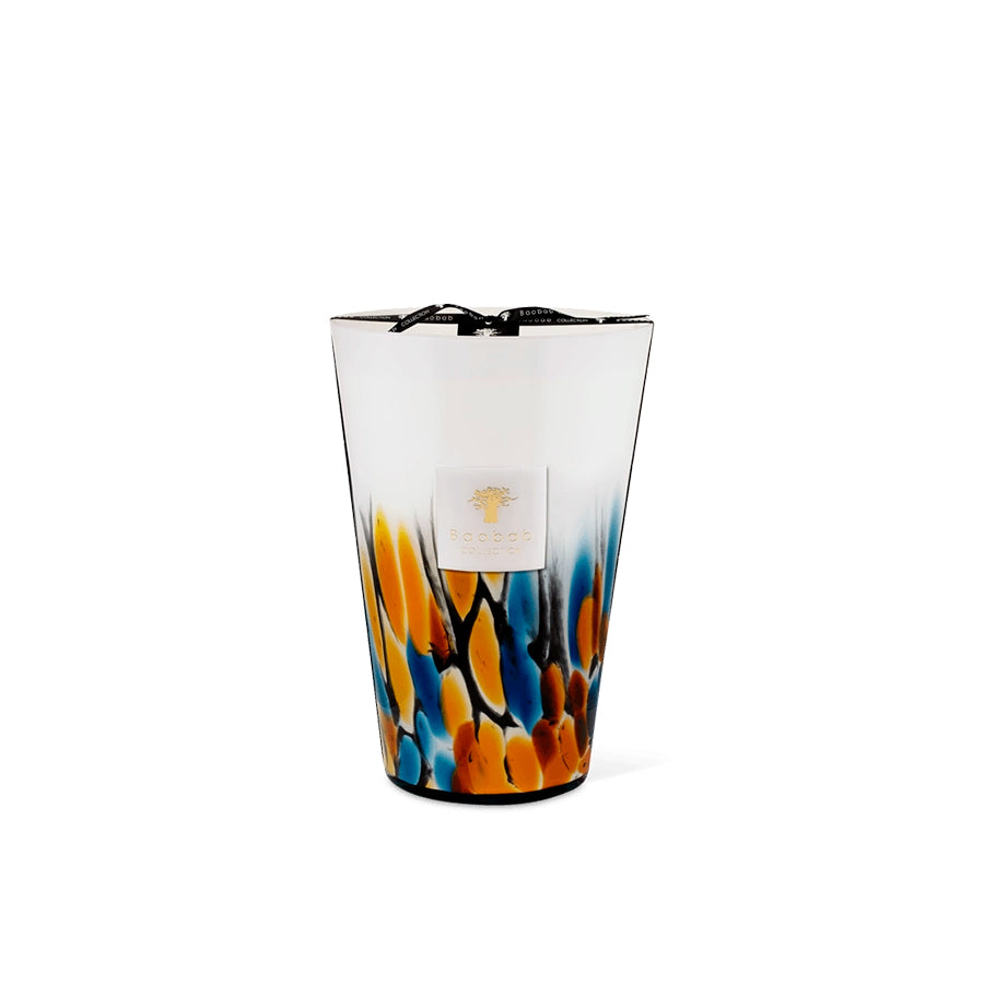 Maxi Max Rainforest Mayumbe