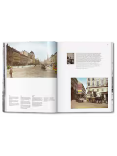 Vienna Portrait Of A City