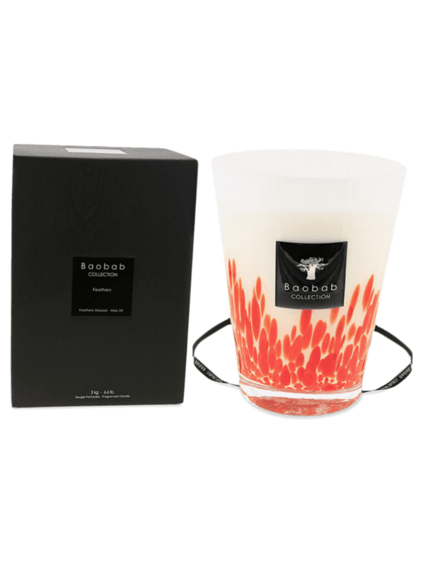 Max 24 Feathers Masaai