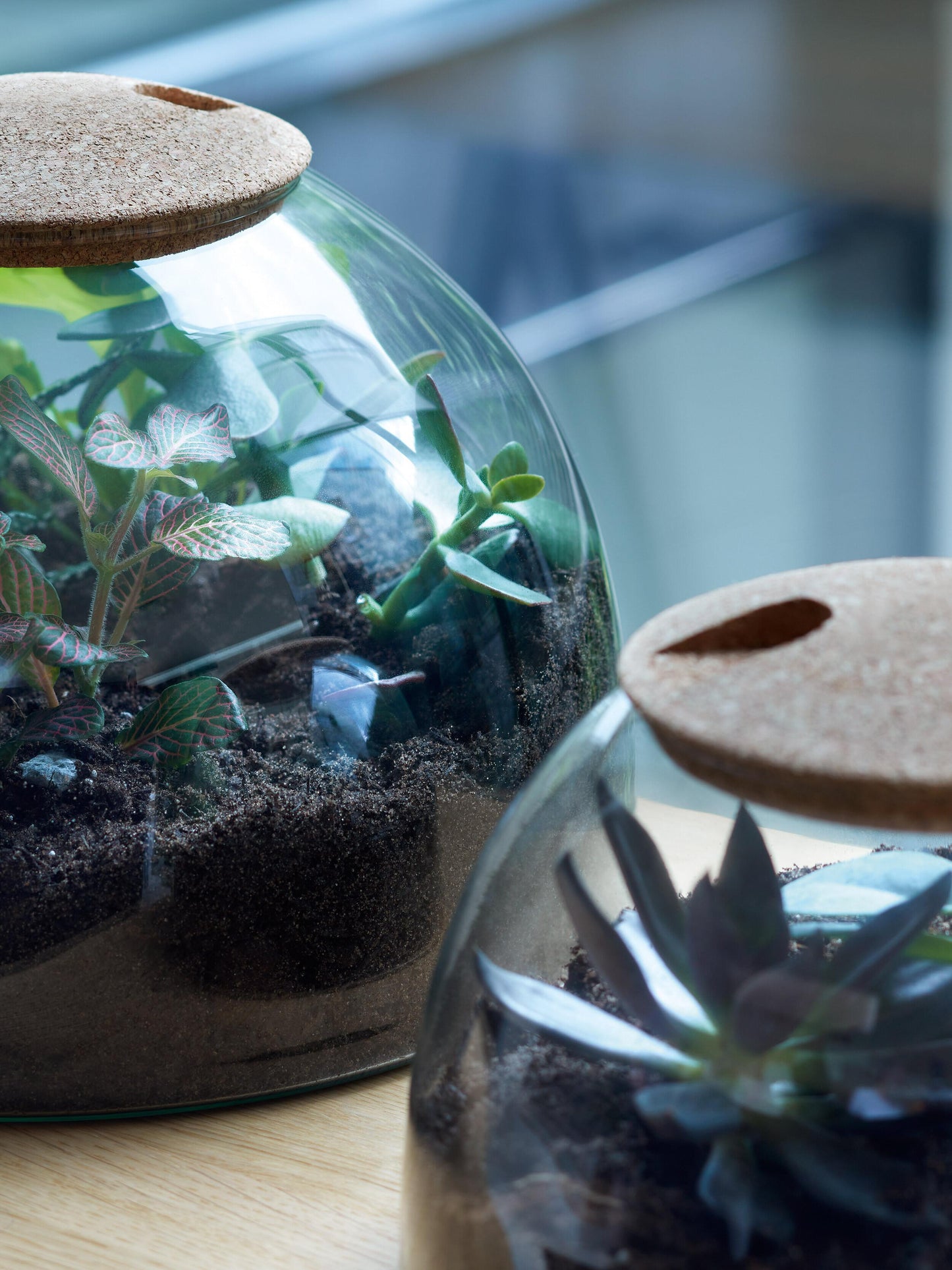 Canopy Closed Dome Planter - Short