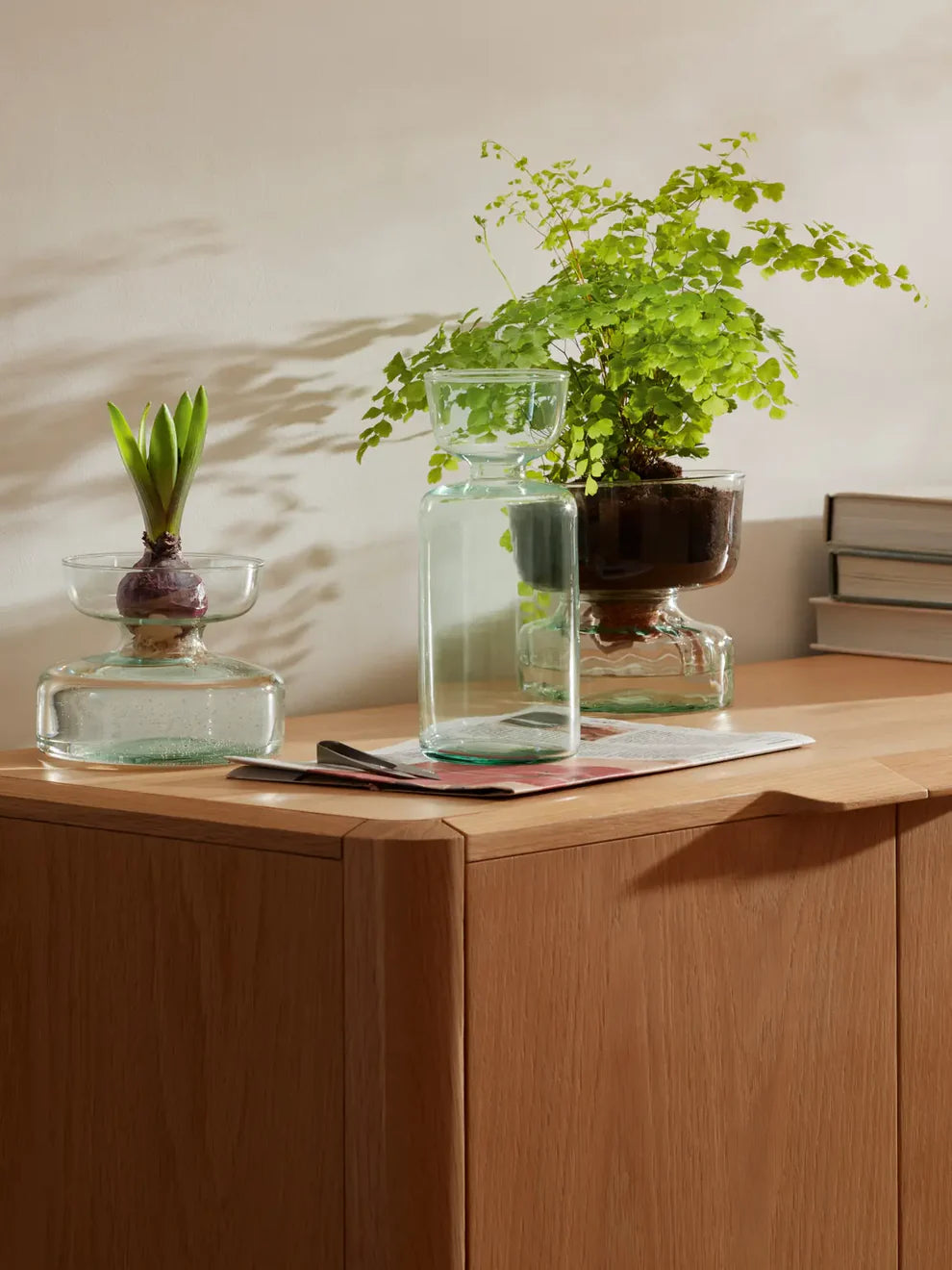 Canopy Vase/Bulb Planter H10cm Clear