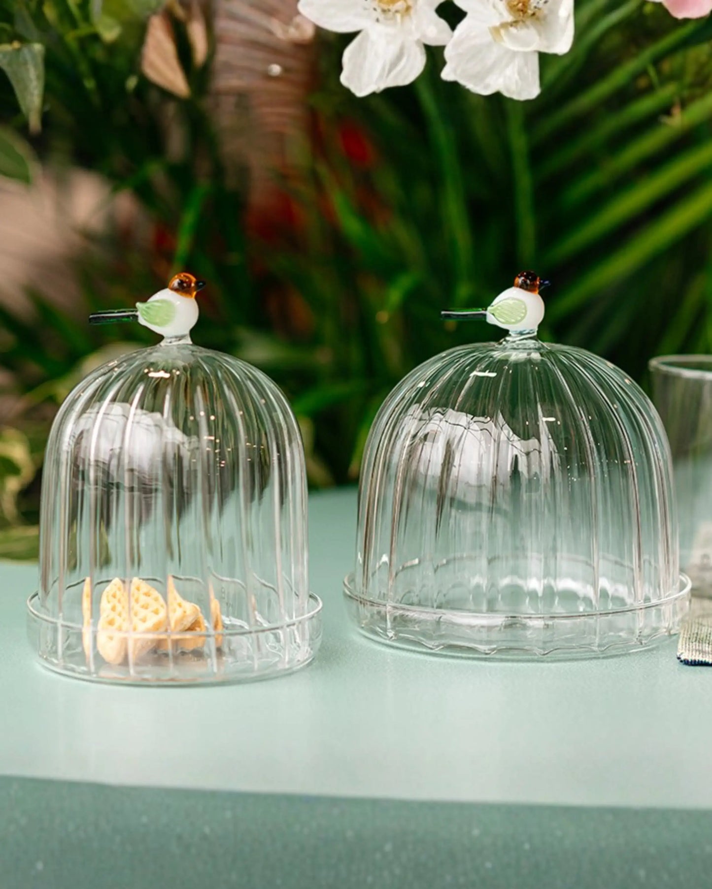 Animal Farm Optic Dome with Dish Bird