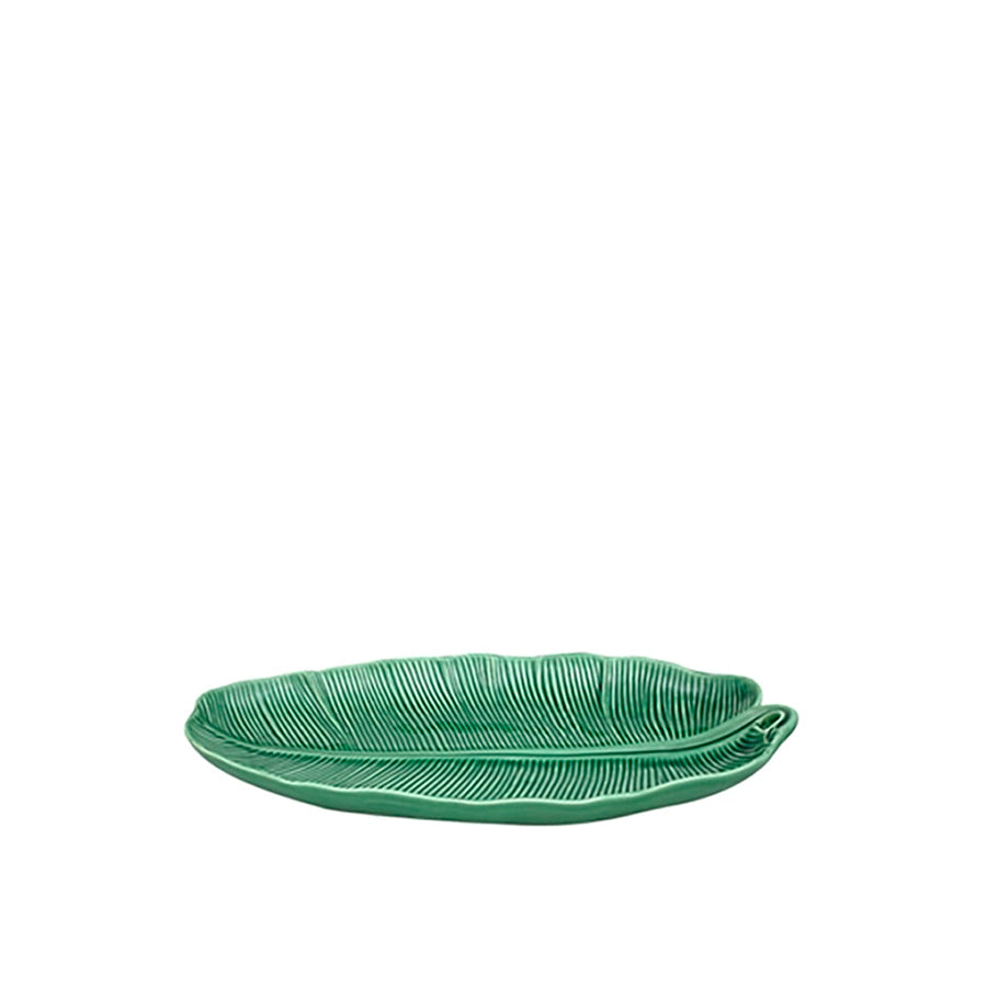 Green leaf-shaped plate on a white background