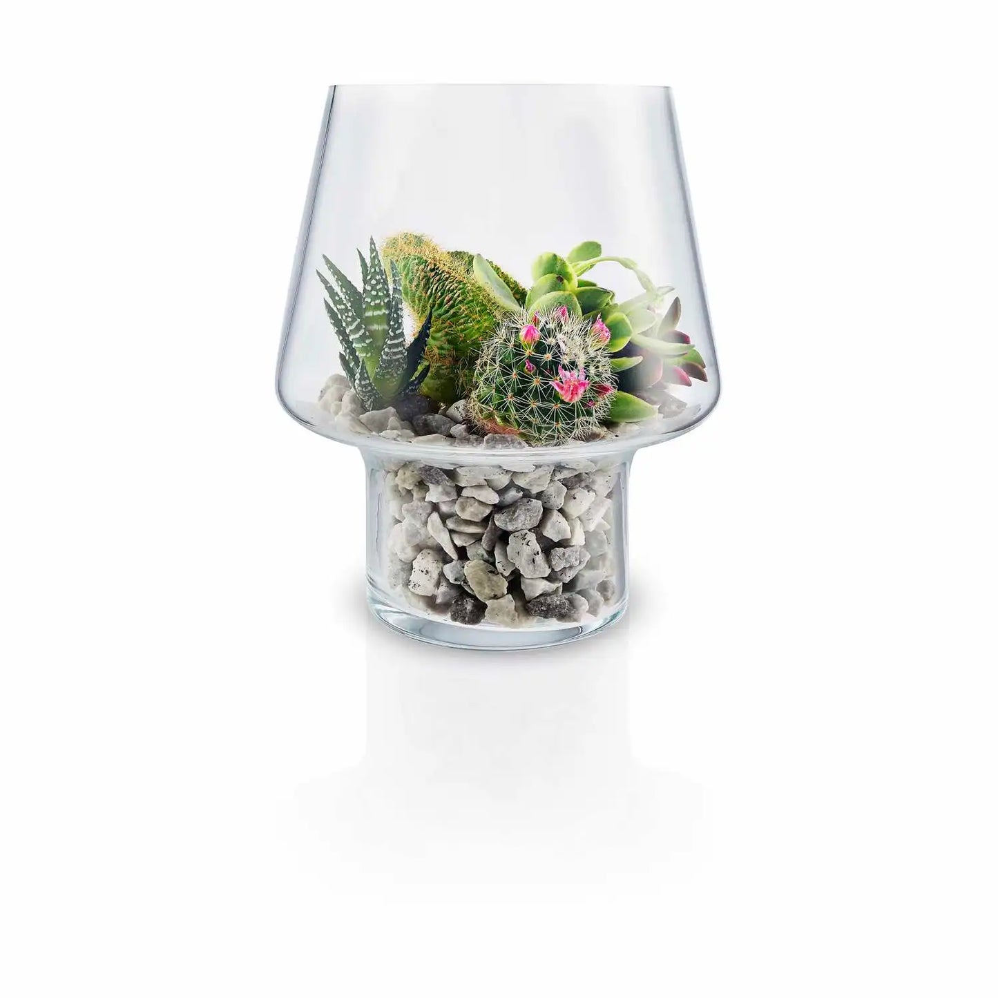 Succulent Glass Vase