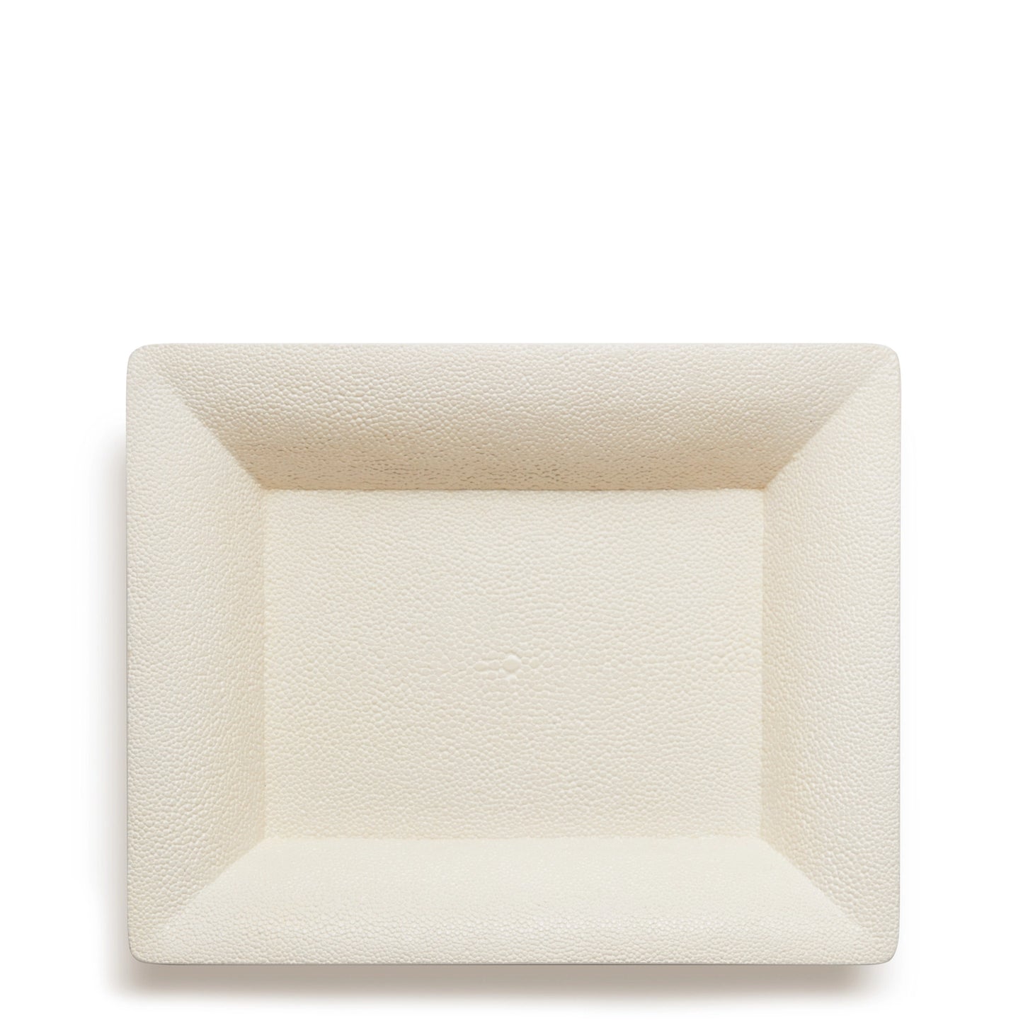 Shagreen Rectangular Vide Poche