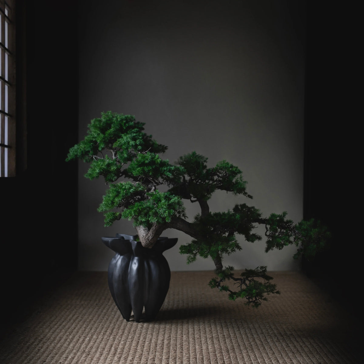 Lotus Vase, Mini Coffee