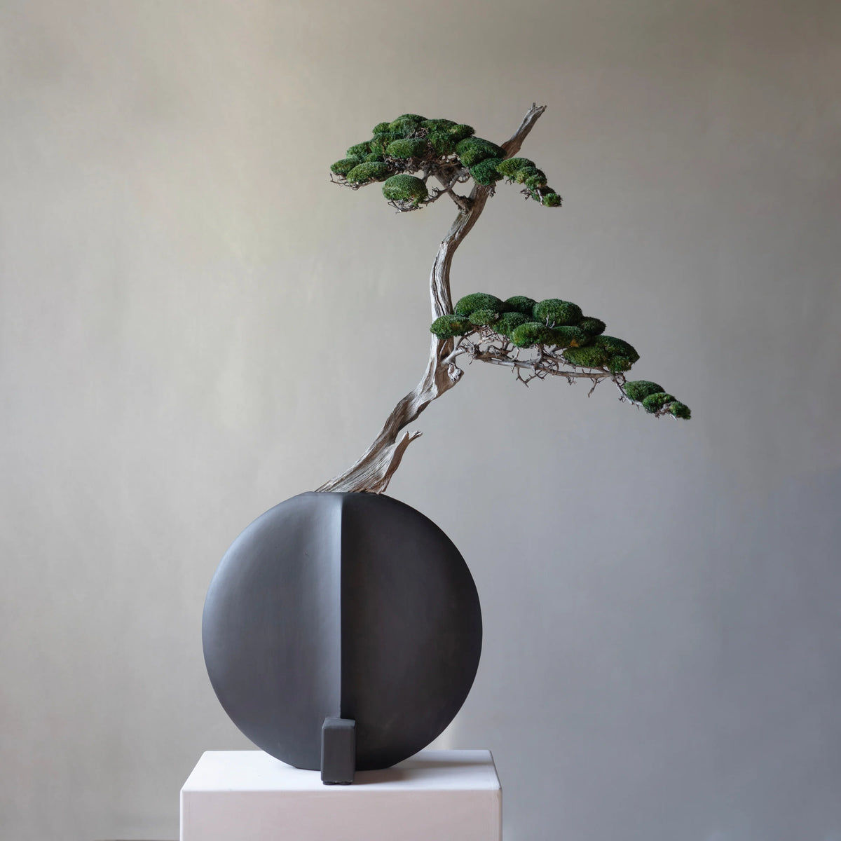 Guggenheim Vase, Big  Coffee
