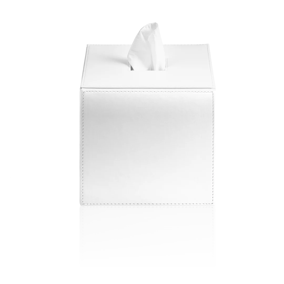 Paper towel dispenser