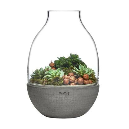 Nude Eden Terrarium with Molded Concrete Base 340mm Clear