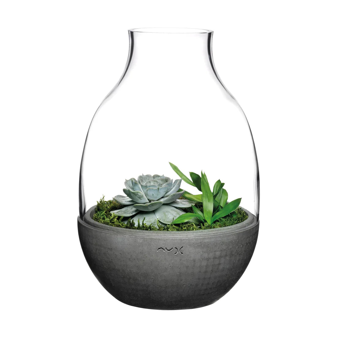 Nude Eden Terrarium with Molded Concrete Base 340mm Clear