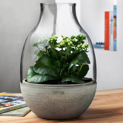 Nude Eden Terrarium with Molded Concrete Base 340mm Clear