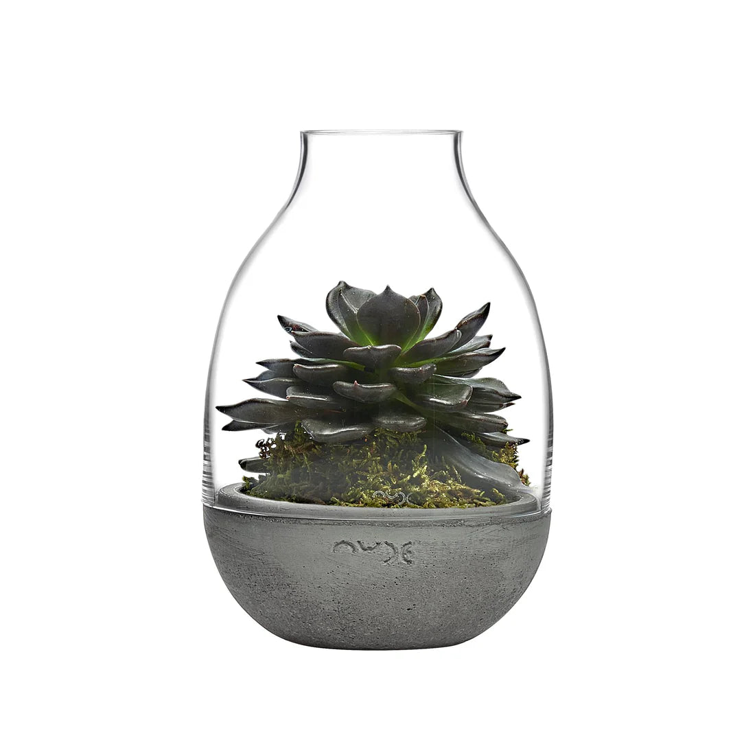 Nude Essentials Eden Mini Terrarium with Molded Concrete Base Clear