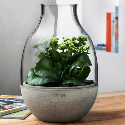 Nude Essentials Eden Mini Terrarium with Molded Concrete Base Clear