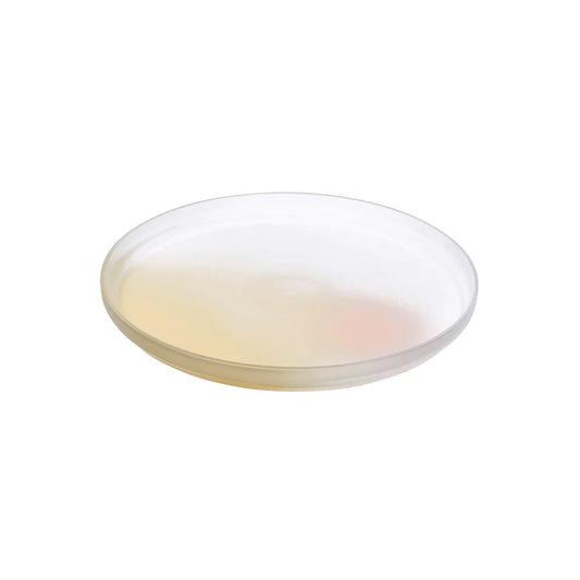 Pigmento Serving Dish 278mm