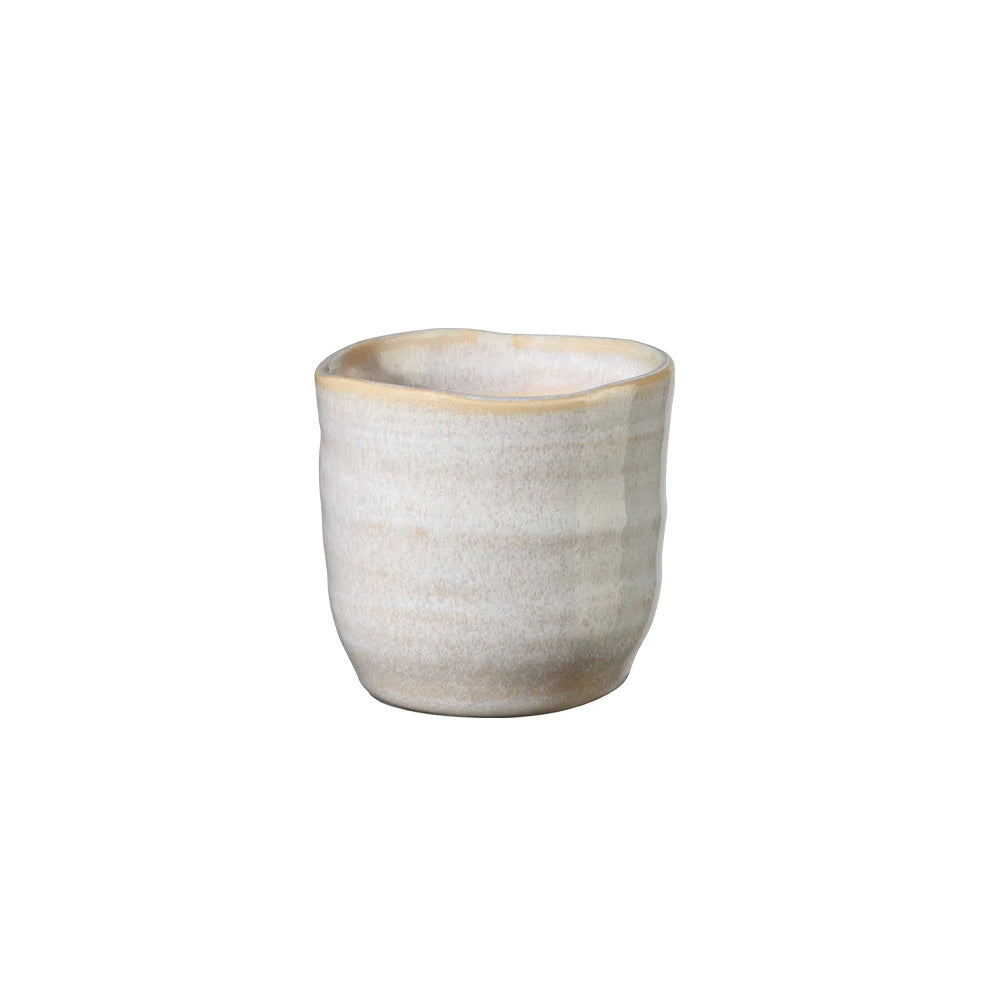 ASA Selection Poké Cup