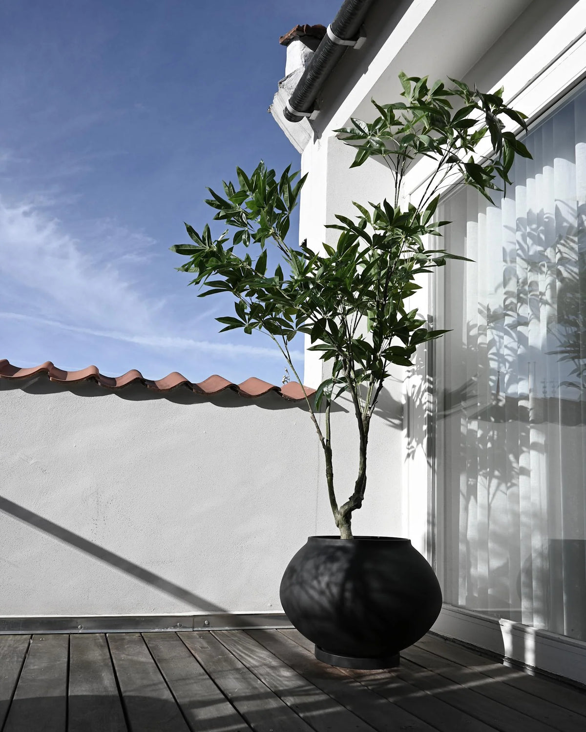 Sunao Plant Pot Fat