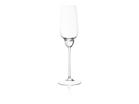 SHADOWS Champagne Glass in Cloudless Clear