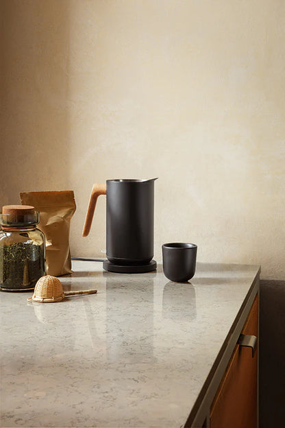 Electric Kettle