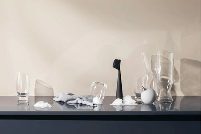 Dish brush black