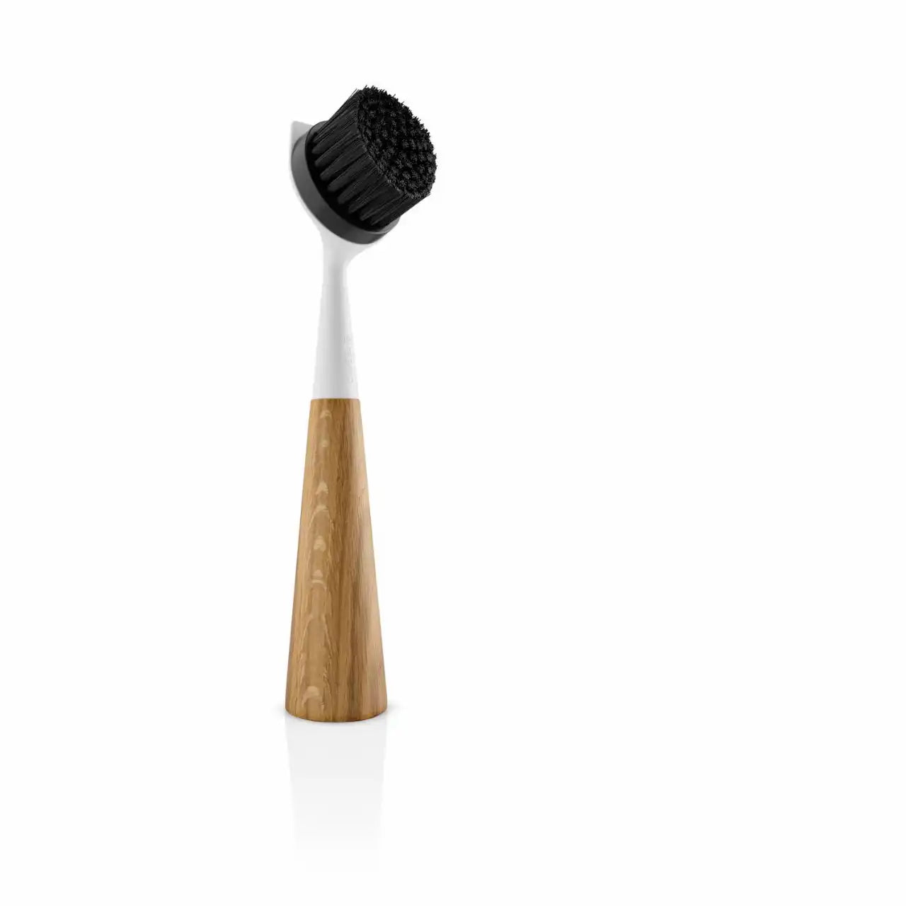 Dishbrush oak nylon White