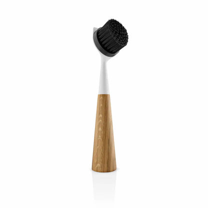 Dishbrush oak nylon White
