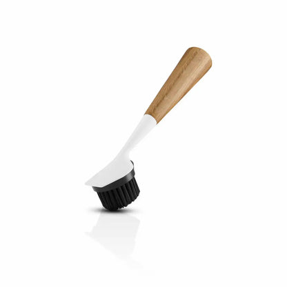 Dishbrush oak nylon White