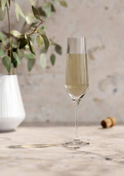 Legio Nova champagne glass 6 pcs.