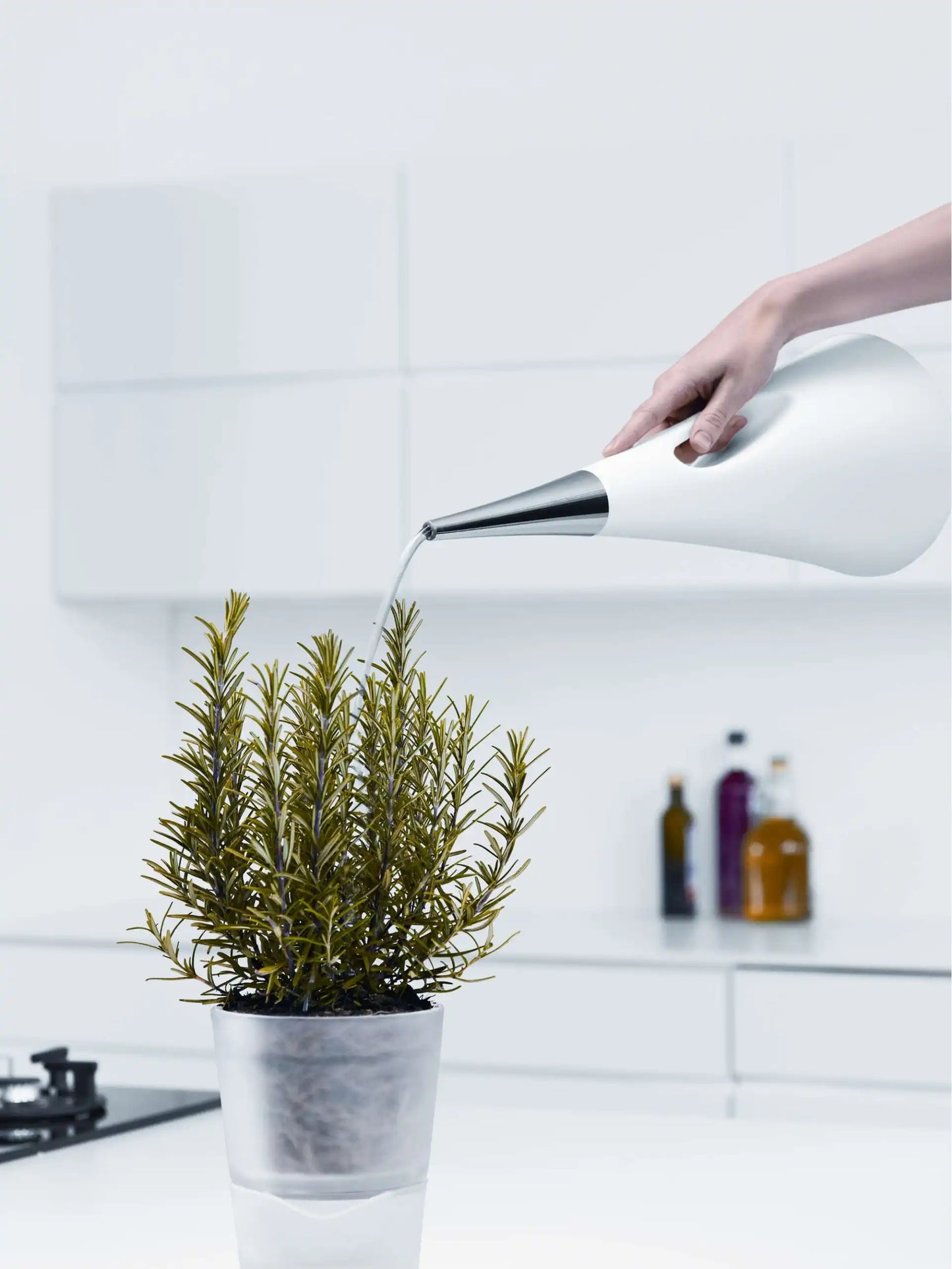 AquaStar watering can 2l white