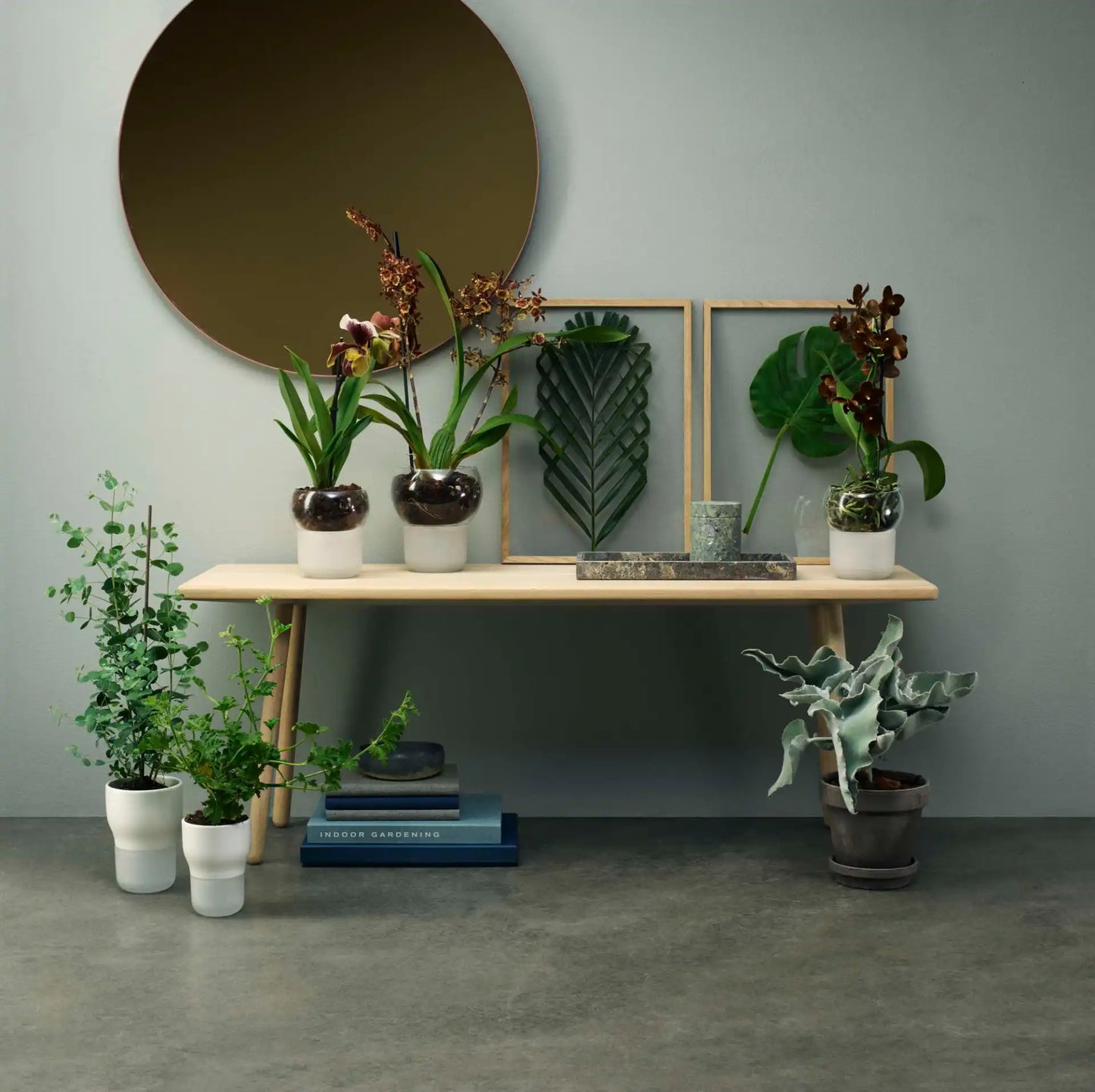 Orchid pot