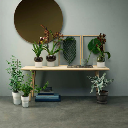 Orchid pot